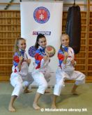 Spoluprca Slovenskej federcie karate a bojovch umen s Leou